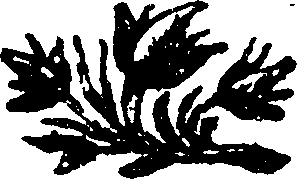 108/108300170000010_0.png