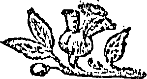108/108300170000040_0.png