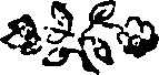 108/108390130000300_0.png