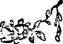108/108390130000710_0.png