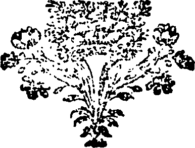108/108400010101660_0.png