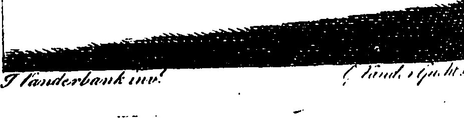 108/108400010303520_0.png