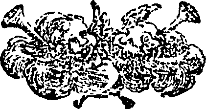 108/108410010600080_0.png