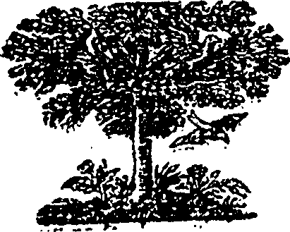 108/108410010600430_0.png