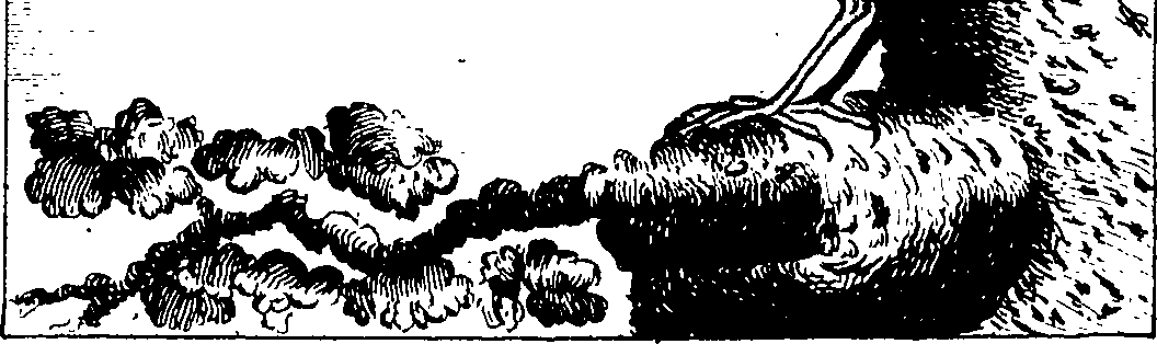 108/108460010403640_0.png