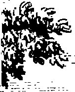 108/108460010604720_0.png