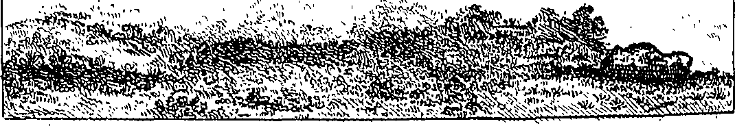 108/108470010703050_0.png
