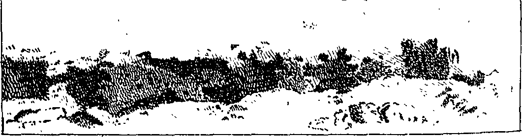 108/108470010703570_0.png