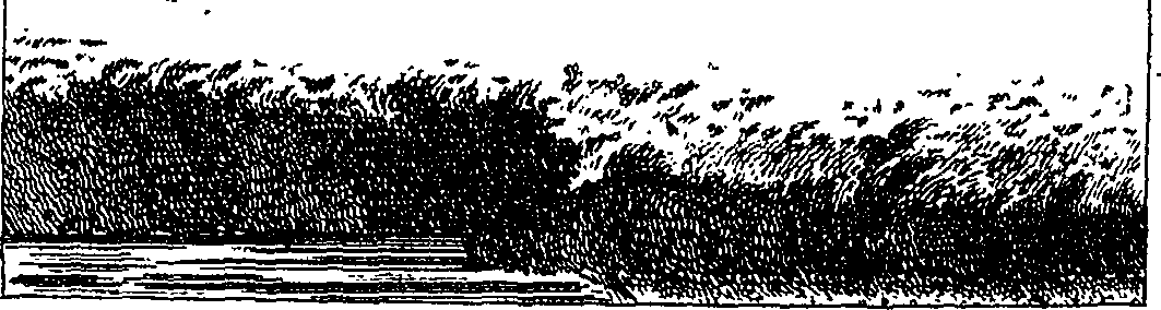 108/108470010704630_1.png