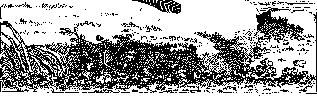 108/108470010802430_0.png