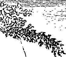 108/108470010803340_1.png