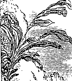 108/108470010900680_0.png