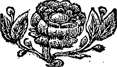 108/108530010001020_0.png