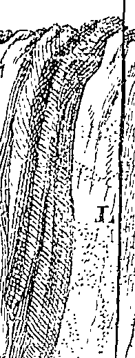 108/108530010003760_2.png