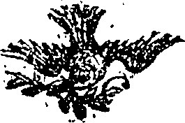 108/108530080000450_0.png
