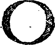 108/108540170000010_1.png