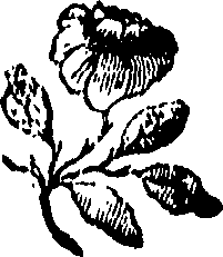 108/108650630000070_0.png