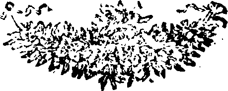108/108730150000860_0.png