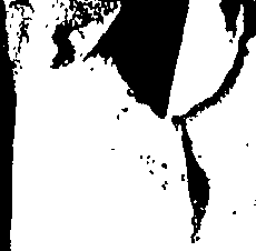 108/108800170000010_3.png