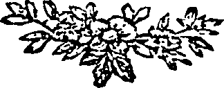 108/108830080000030_0.png