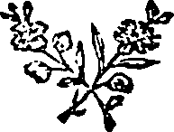 108/108830080001110_0.png