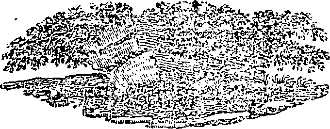 108/108880050000380_0.png