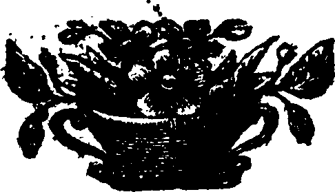 108/108940070002070_0.png