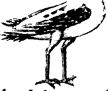 108/108940080001540_1.png