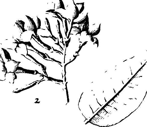 108/108940080001880_1.png