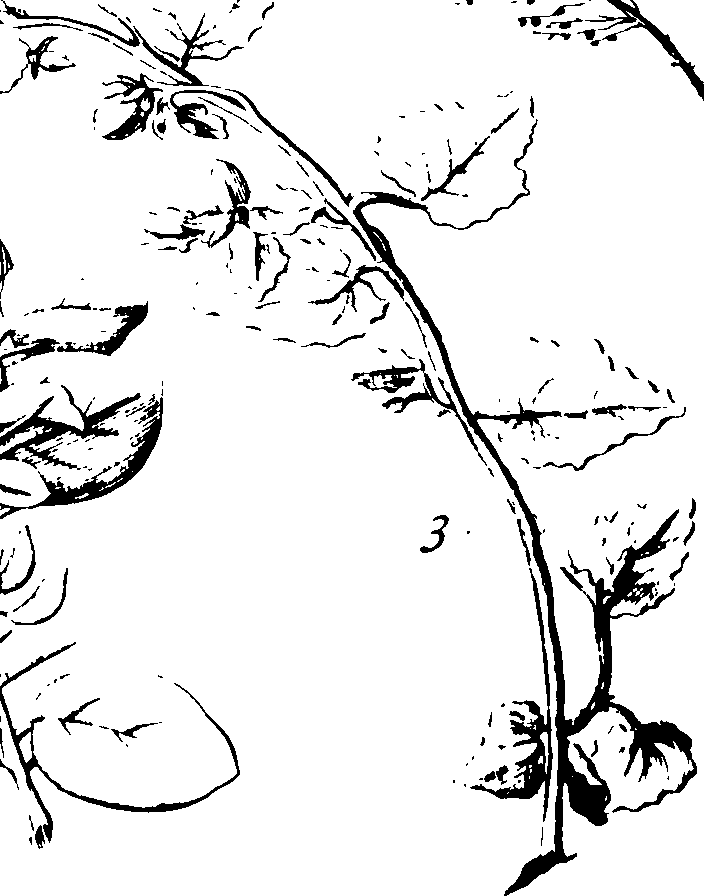 108/108940080001910_0.png