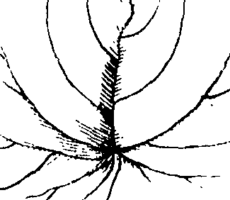108/108940080001950_0.png