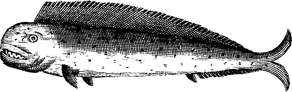 108/108940080002010_0.png
