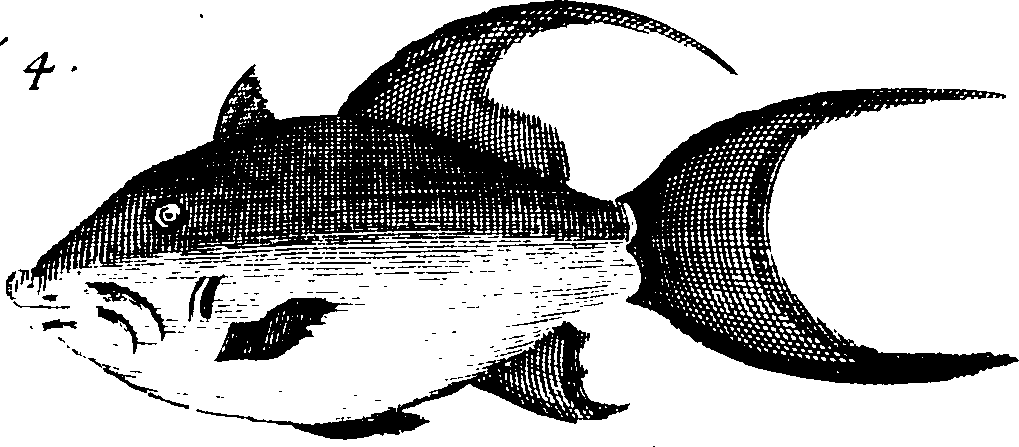 108/108940080002020_0.png