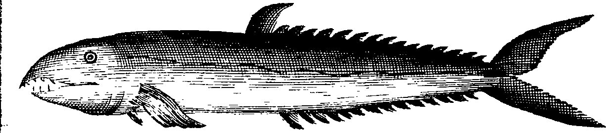 108/108940080002020_1.png