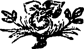 109/109050170100370_0.png