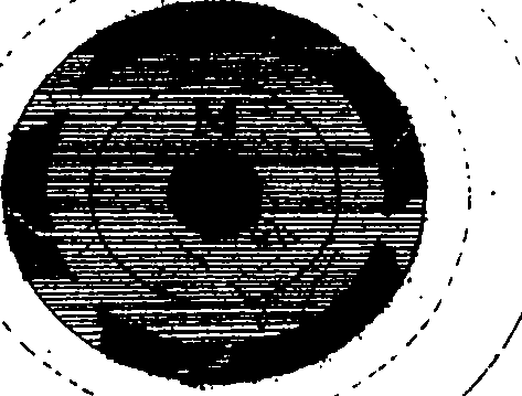 109/109210050000100_0.png