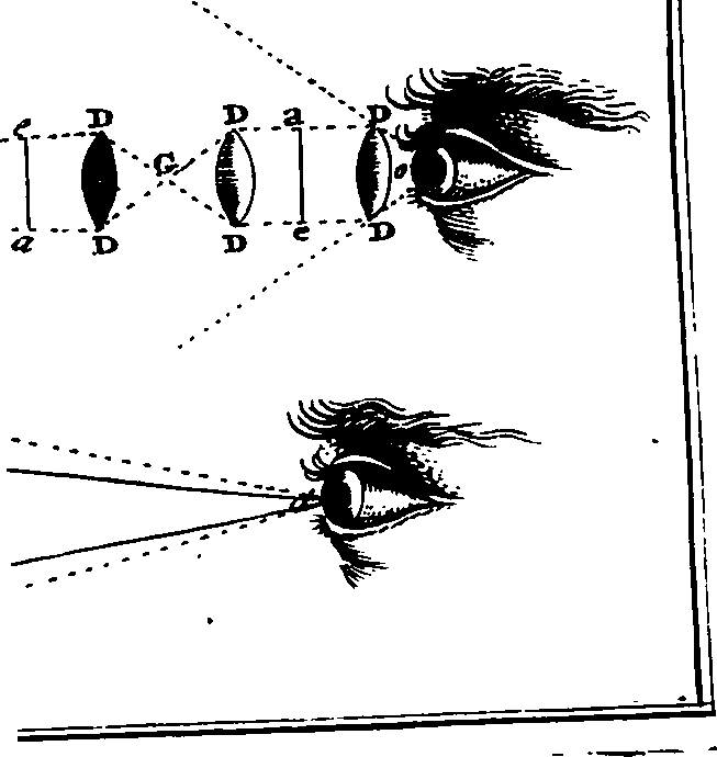 109/109240050003050_0.png