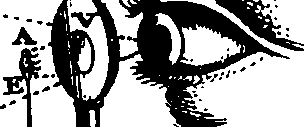 109/109240050003050_1.png