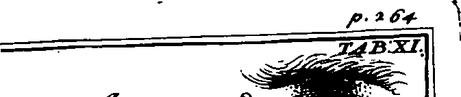 109/109240050003050_2.png