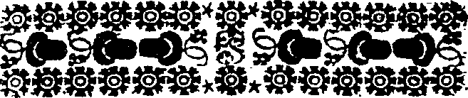 109/109250080000040_0.png