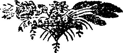 109/109310040000920_0.png