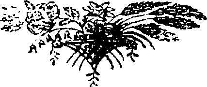 109/109310040001820_0.png