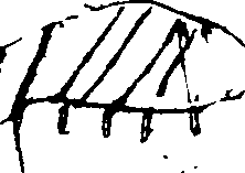 109/109310060003440_1.png
