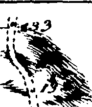 109/109350050001720_1.png