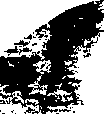 109/109370110000470_0.png