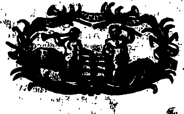 109/109430040000880_0.png