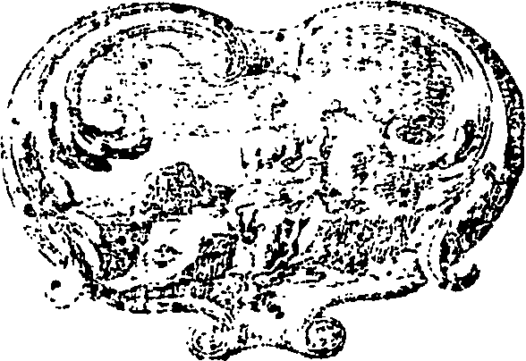 109/109430040001300_0.png
