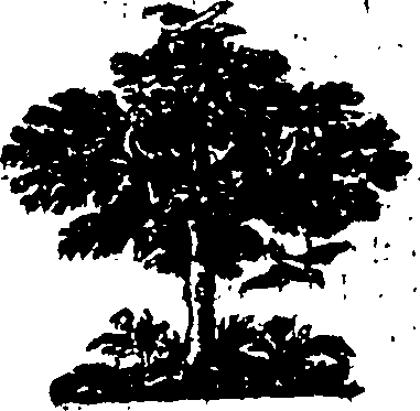 109/109430040002710_0.png