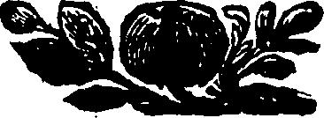 109/109470160000060_0.png