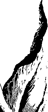 109/109510030000290_0.png
